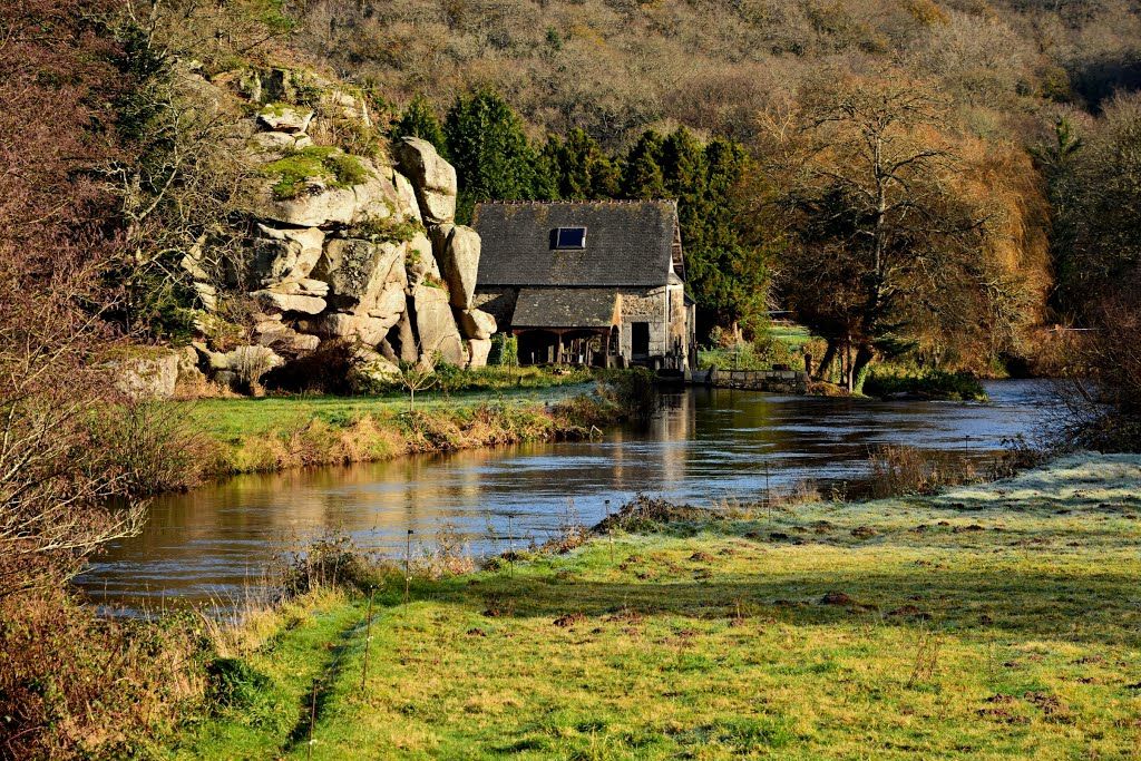 MapSights tweet media