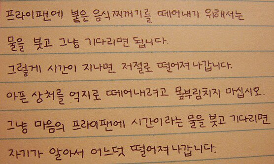 미라클 월드 (@adelinefree80) on Twitter photo 