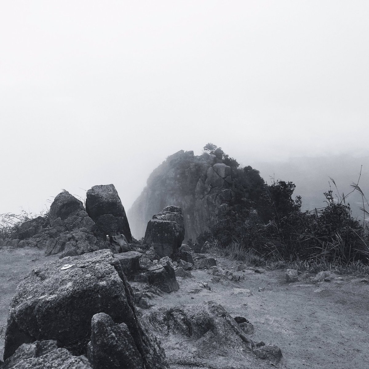 Armando Flores Chiu tweet media