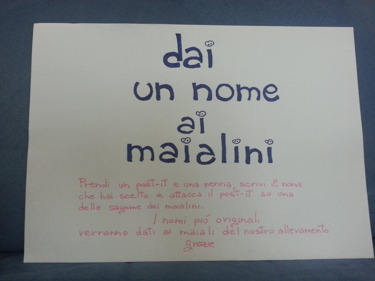GioandiPice's tweet photo. #Zogno 27 novembre dalle 10 alle 18 giocate con noi CastagAMO https://t.co/Cl54ZdQlSm