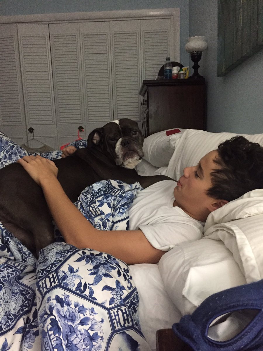 IgnacioTammy's tweet photo. This boy and his dog! @AlexAnimals #bulldog❤️😉#MacyMae https://t.co/UJZKKAkMyf