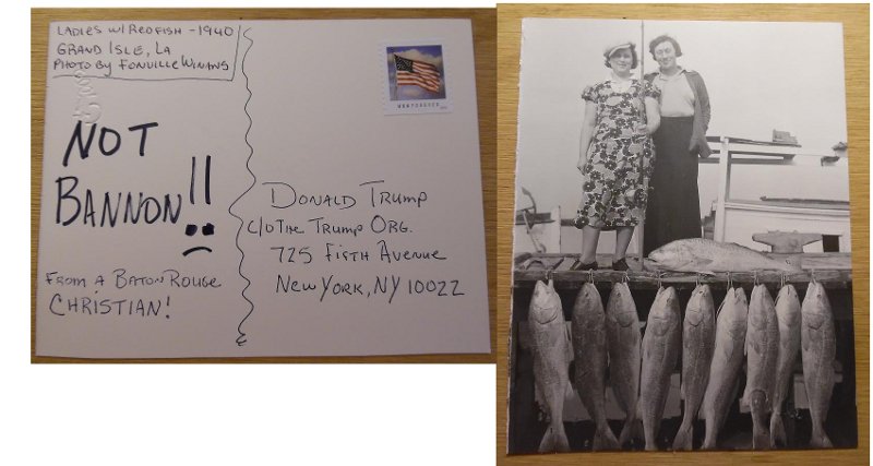 Love, Peace, Joy!!!!
#postcardavalanche #stopbannon