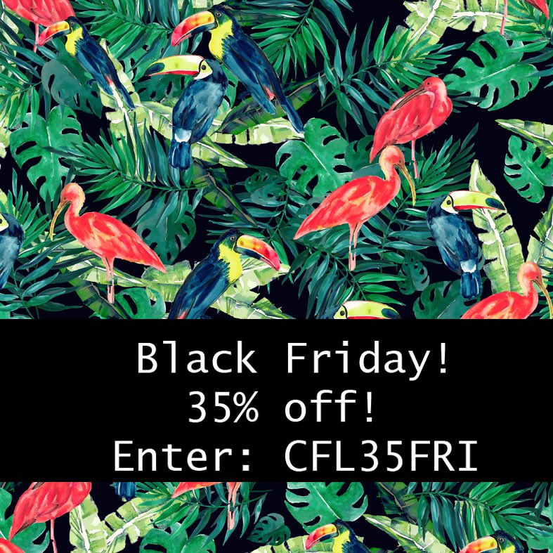 Charlotte Frances tweet media