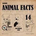 Photo by InfographiQ (@InfographiQ)