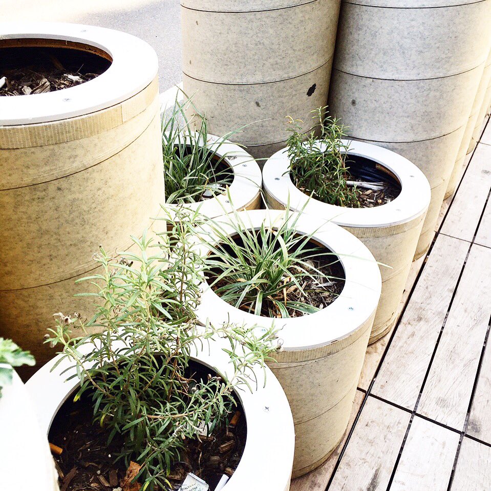 linedrybrand's tweet photo. Interesting plant pots found on the #Parsons campus.

#parsons #fashion #productdesign #environmentaldesign #nature https://t.co/wpQGVWsKoz