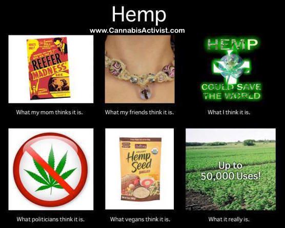 HempClothes's tweet photo. It's 4:20 somewhere 🕟 Pass this one around! ✌️😄👌💨 #Cannabis #Activist #Hemp #Clothing #Kickstarter #Fashion🌱👕 https://t.co/kIiT3Xxb8Q Share! https://t.co/2HMjHlCIv7