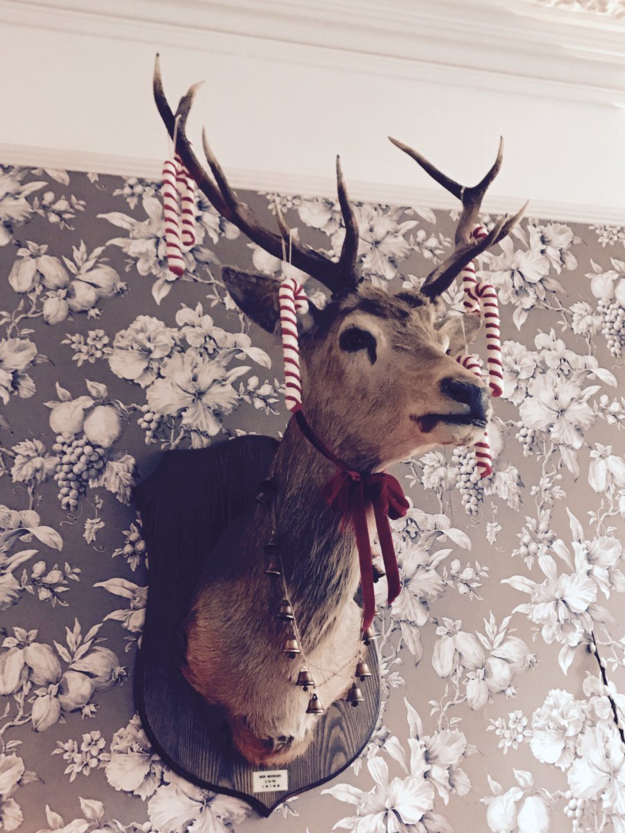 florist_jill's tweet photo. "it's beginning to look a lot like #Christmas  ! " @villamagdala https://t.co/m0oJBZxNQX