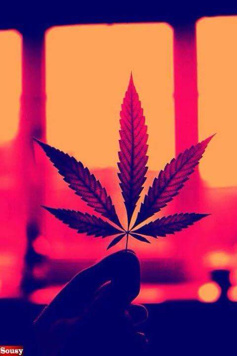 ZenpypeGadget's tweet photo. Beneficial effects of CBD https://t.co/TcjIB4TQmS https://t.co/UlMPMMNLay