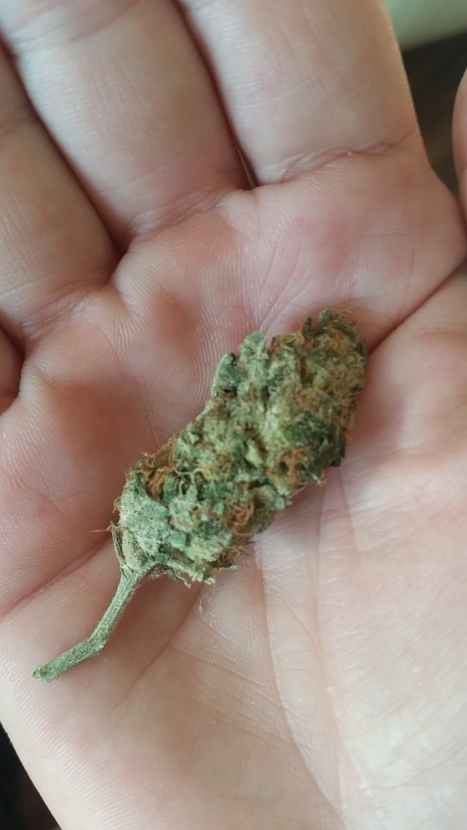 Beneficial effects of CBD zenpype.com/2016/11/17/tha…