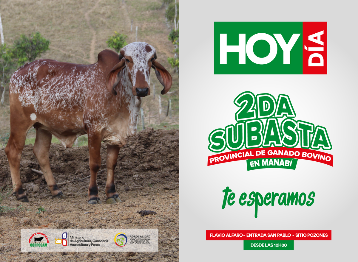 TE ESPERAMOS