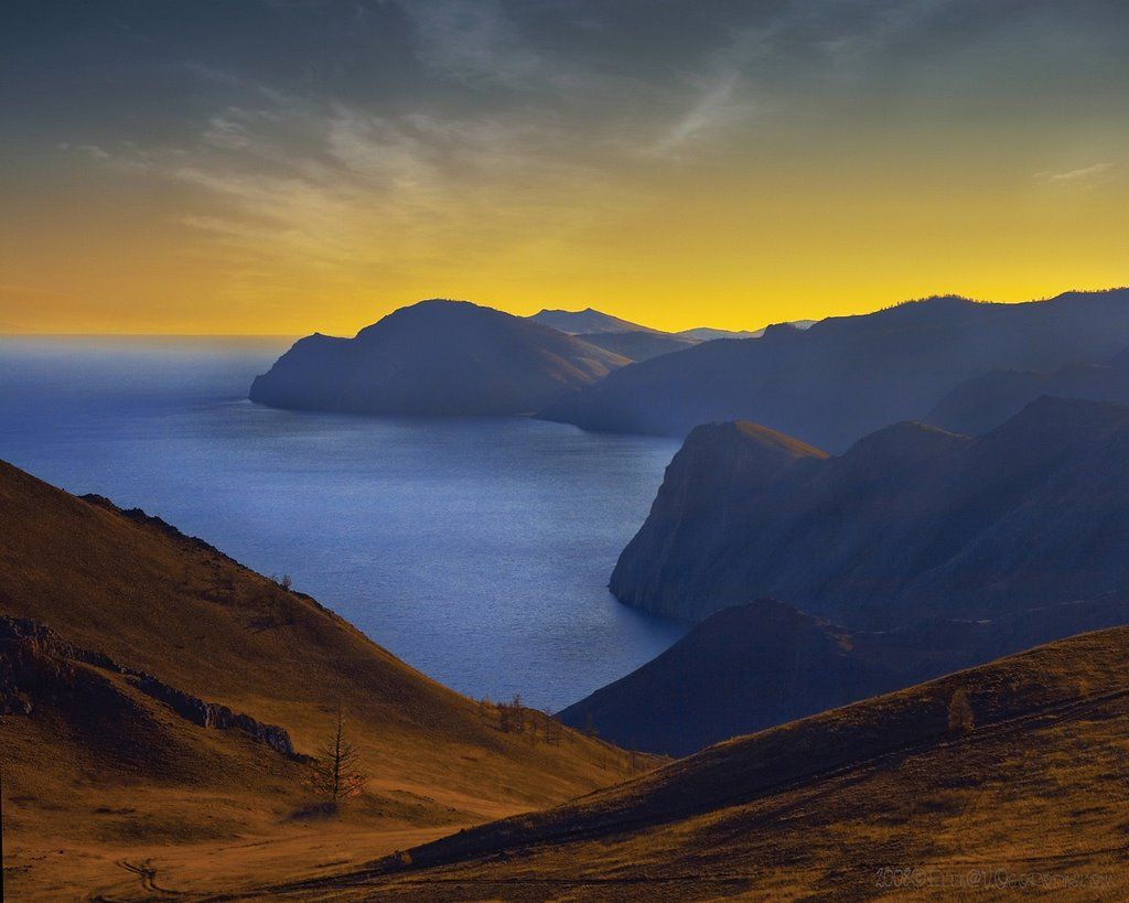 MapSights tweet media