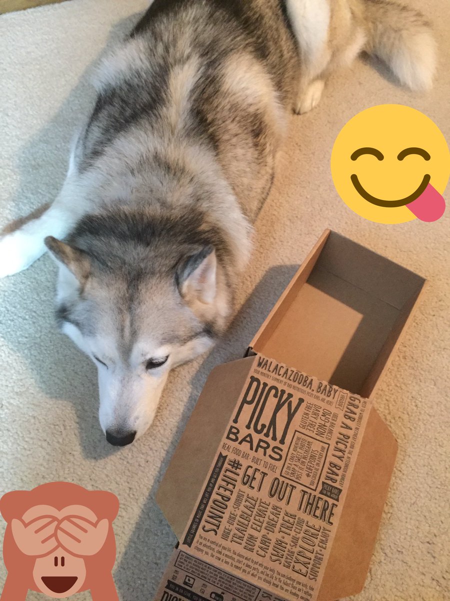 RunAnthonyRun88's tweet photo. I have an unreal obsession w/ @pickybars. I got this box 3 days ago and now it's empty... #lifepoints #realfood #nalatheadventurewolf https://t.co/juZeX3t5sQ