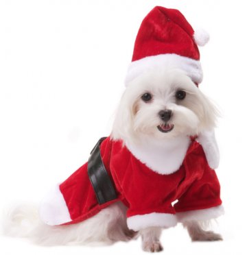 GoLocalWorcester tweet media