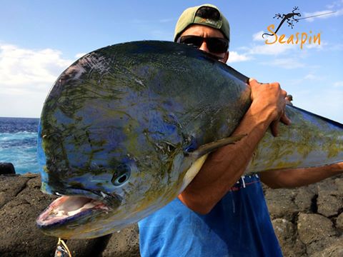 Seaspinlures's tweet photo. Monster Dolphin fish !
Leppa 55 #SAR
#seaspin #seaspinlures #leppa #shorejigging #leppa55sar #castingjig #lampuga #mahimahi #spinning https://t.co/aJN8PBlk8a