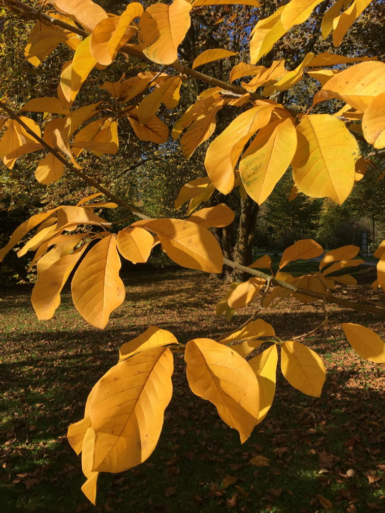 iMic76's tweet image. 