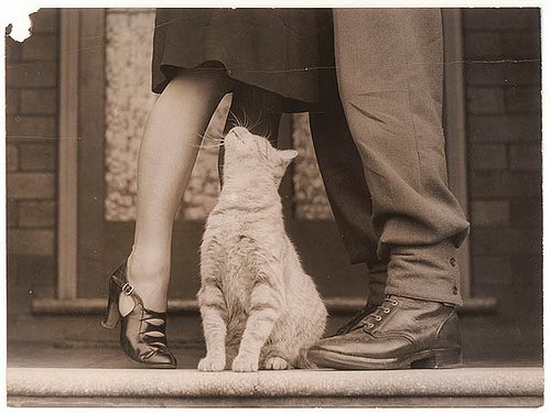 💋
#pinup #couple #fashion #vintagefashion #cat