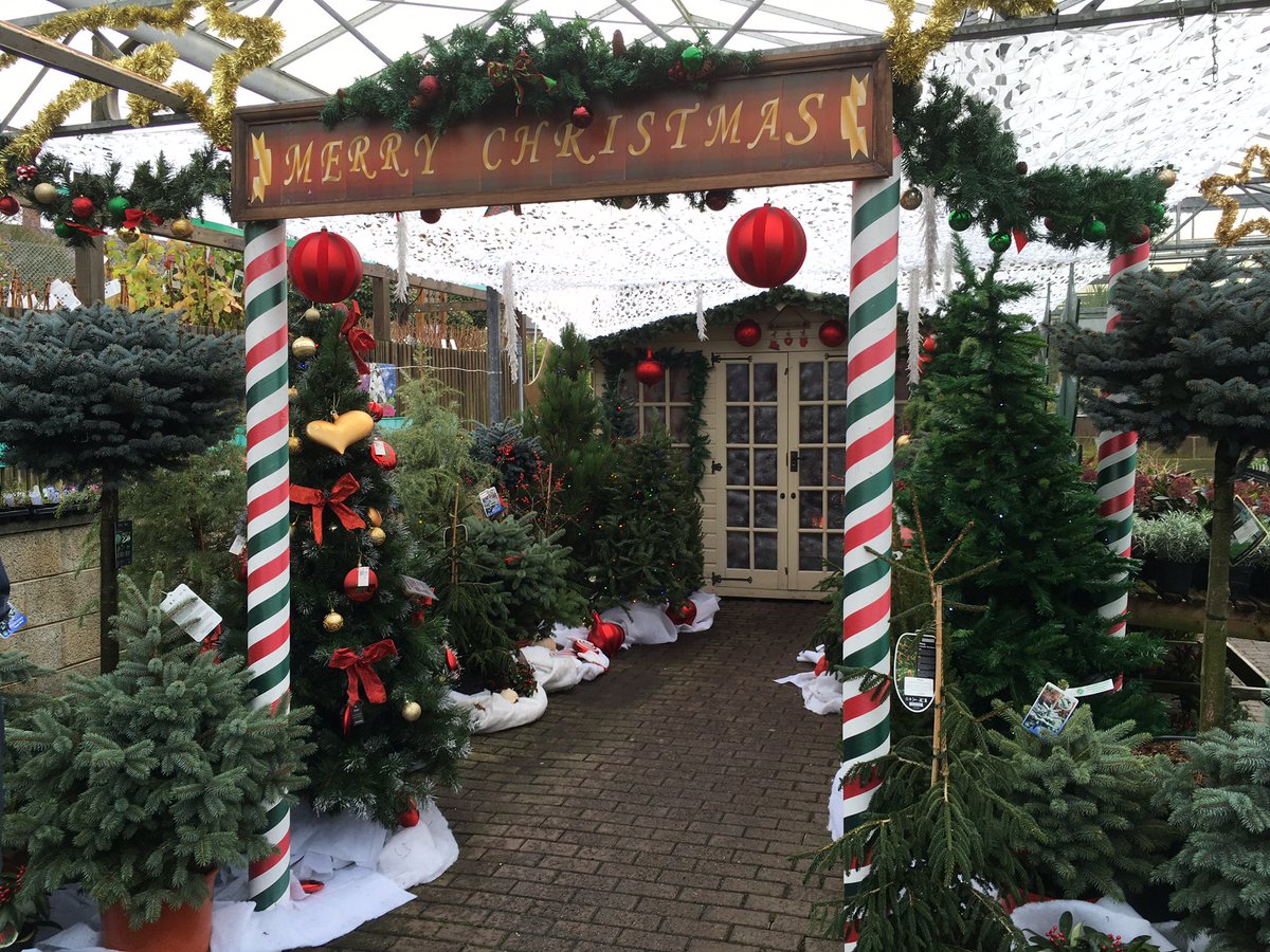 Santa's Grotto re-opens at 10 am tomorrow