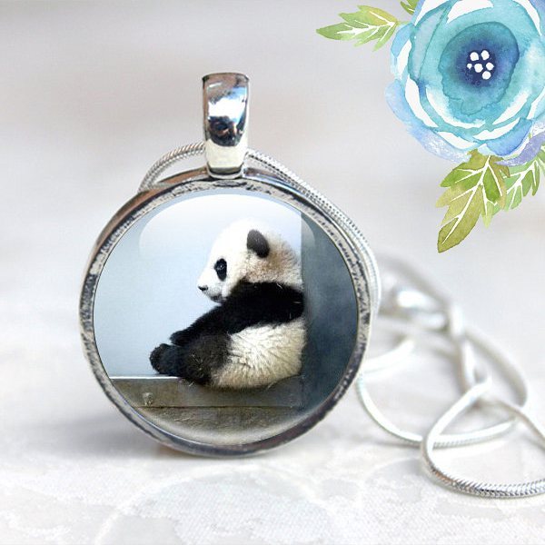 It’s human nature to fall in love with fluffy things with big eyes.  This baby panda is so hard not to fall in love…