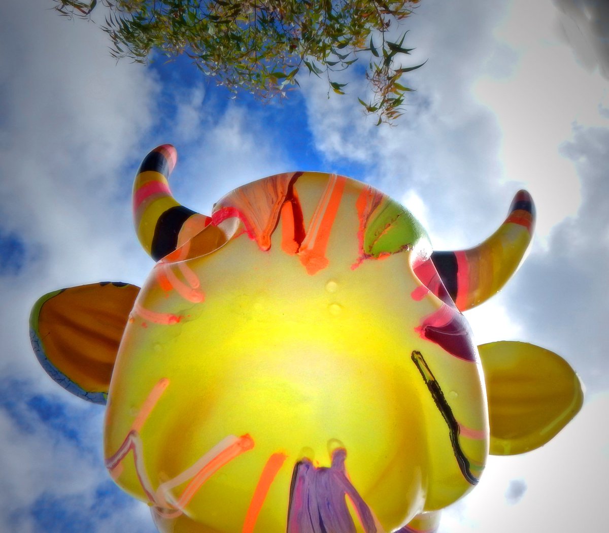 AJParker77's tweet photo. Enjoyed the #CowParadePerth whilst on our travels last week, great way to see the city #ikicow #ellecampbellart #cowparade #perth #WA https://t.co/5x6tULuX5L