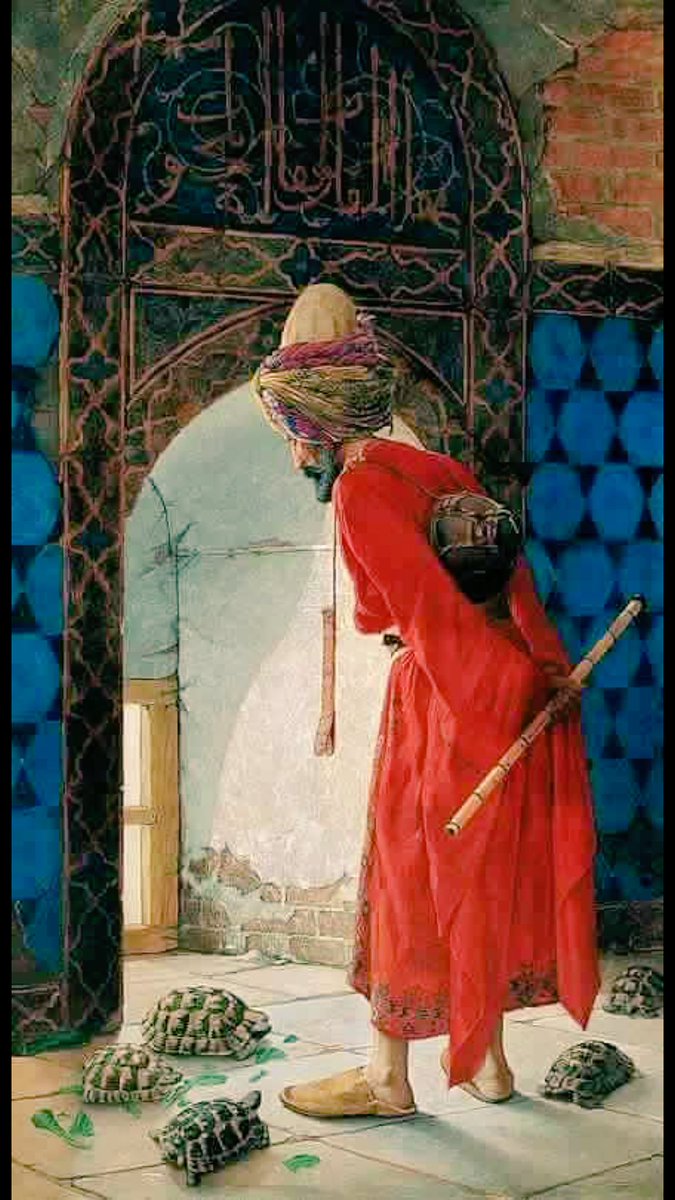 grandcountess's tweet photo. Tabloda hep kaplumbağalara bakarız.Birde pencerenin üstünde yazı var.'ŞİFAÜ'L-KULUB LİKAÜ'L-MAHBUB: Kalplerin şifası sevgilinin yüzü iledir" https://t.co/0QS6zMnwh9
