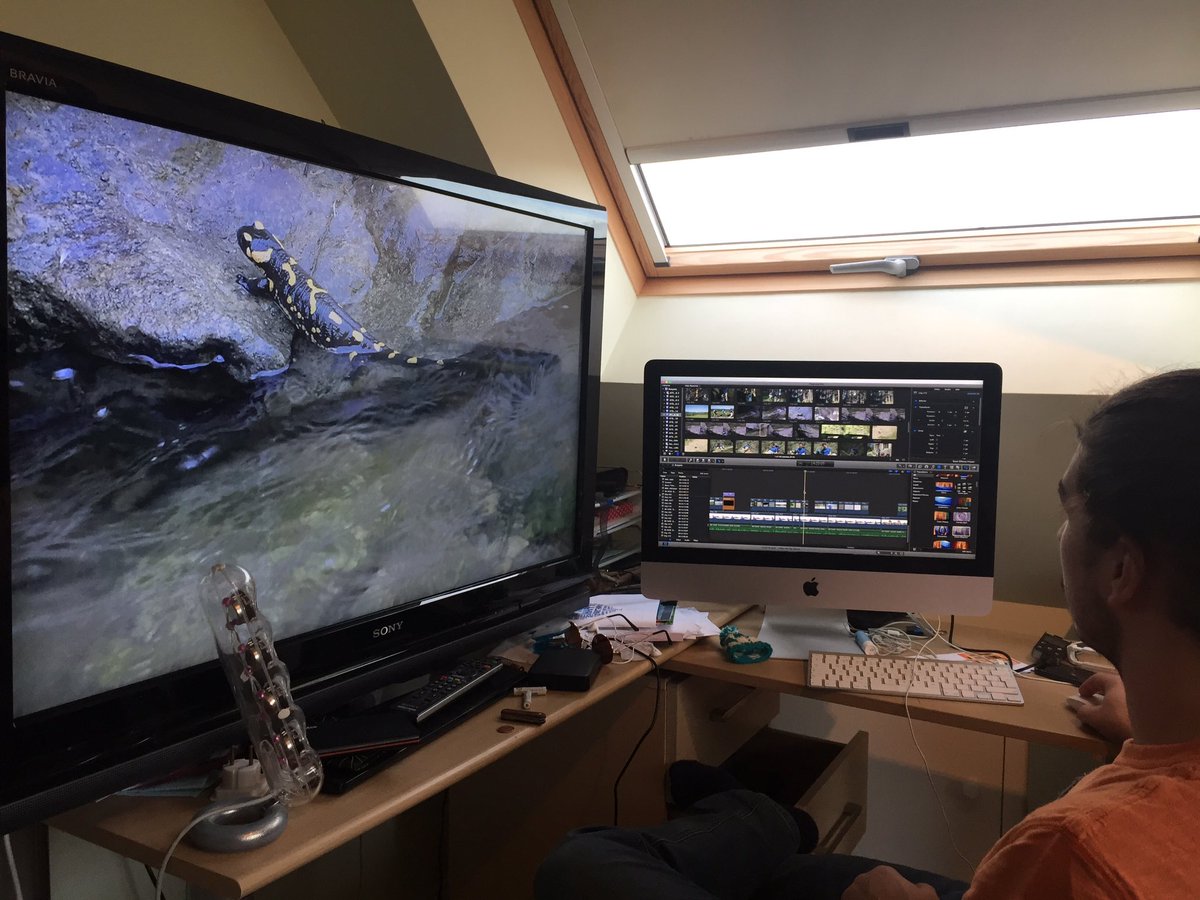 AlexFall2's tweet photo. Working on the @expedrhodope film with @wilkoadam - almost there! #salamander #Rewilding https://t.co/CAIEywc66y