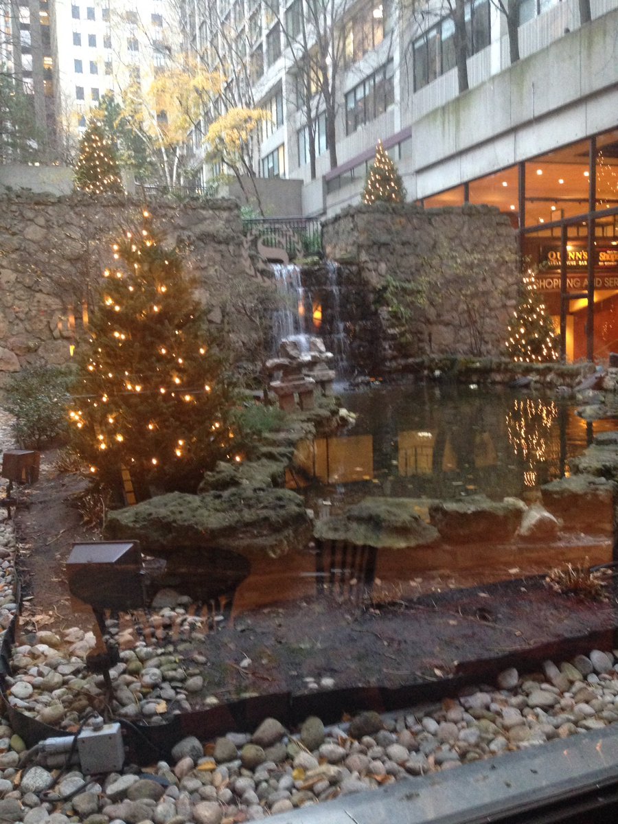 LisetRieger's tweet photo. Beautiful Sheraton and Toronto hosting the TESL Ontario Conference #TESL2016 https://t.co/4EoEtqpDL8
