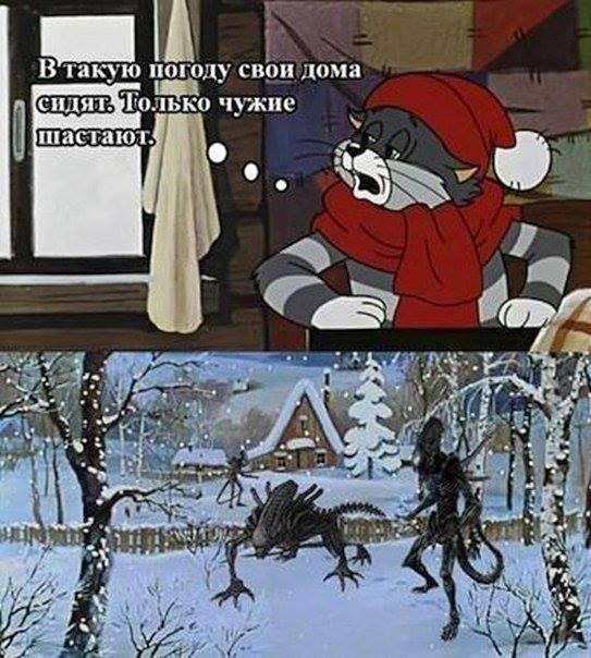 spacelordrock's tweet photo. Ору чо то. https://t.co/1ViWH6fbuw