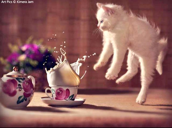 F2S1_N's tweet photo. إفرح بالأشياء الإيجابية❗
 التي تحدث في يومك
وكن سعيداً بما لديك ❤
#قروب_حياتي_للدعم
#مبدئيا_للرتويت
#راهي_للدعم https://t.co/DiVsfRYSm0