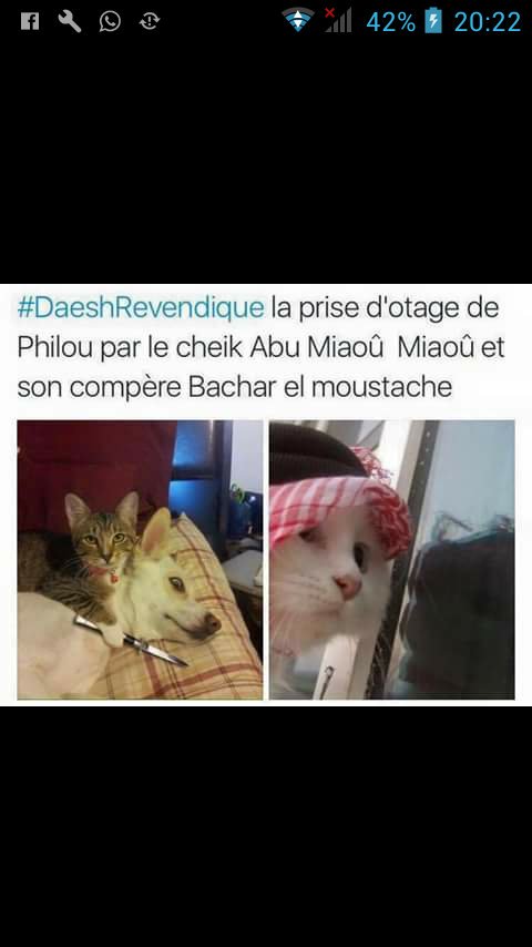 KvMeYA's tweet photo. #tweetcommebaloo  @LeBalooShow https://t.co/M3A8ETgS5q
