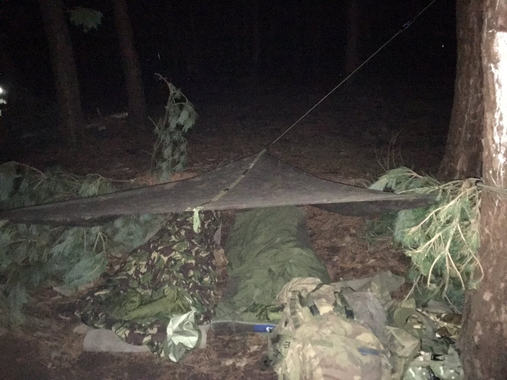 lottiebbrown's tweet photo. Comfy sleeping quarters for tonight with my basha buddy Blakeman #freezing #bashabuddies #funtimes https://t.co/Gh6lHywQOO
