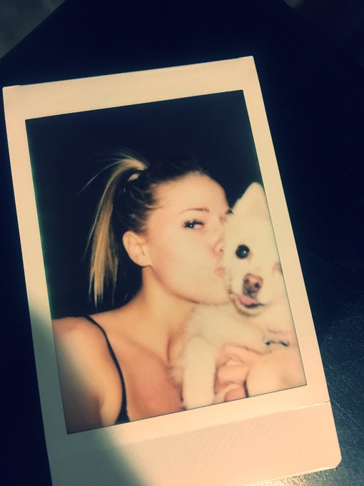 Love you littles 🐶 #pommymommy https://t.co/EURJ9R0qUj<a href="/tag/pommymommy"class="tags">#pommymommy</a>