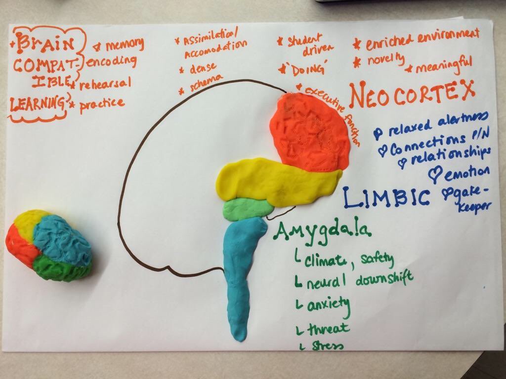 ssrsbngrhs's tweet photo. #braincompatible #education #NGRHS @SouthShoreRSB https://t.co/IKOtMVoisy