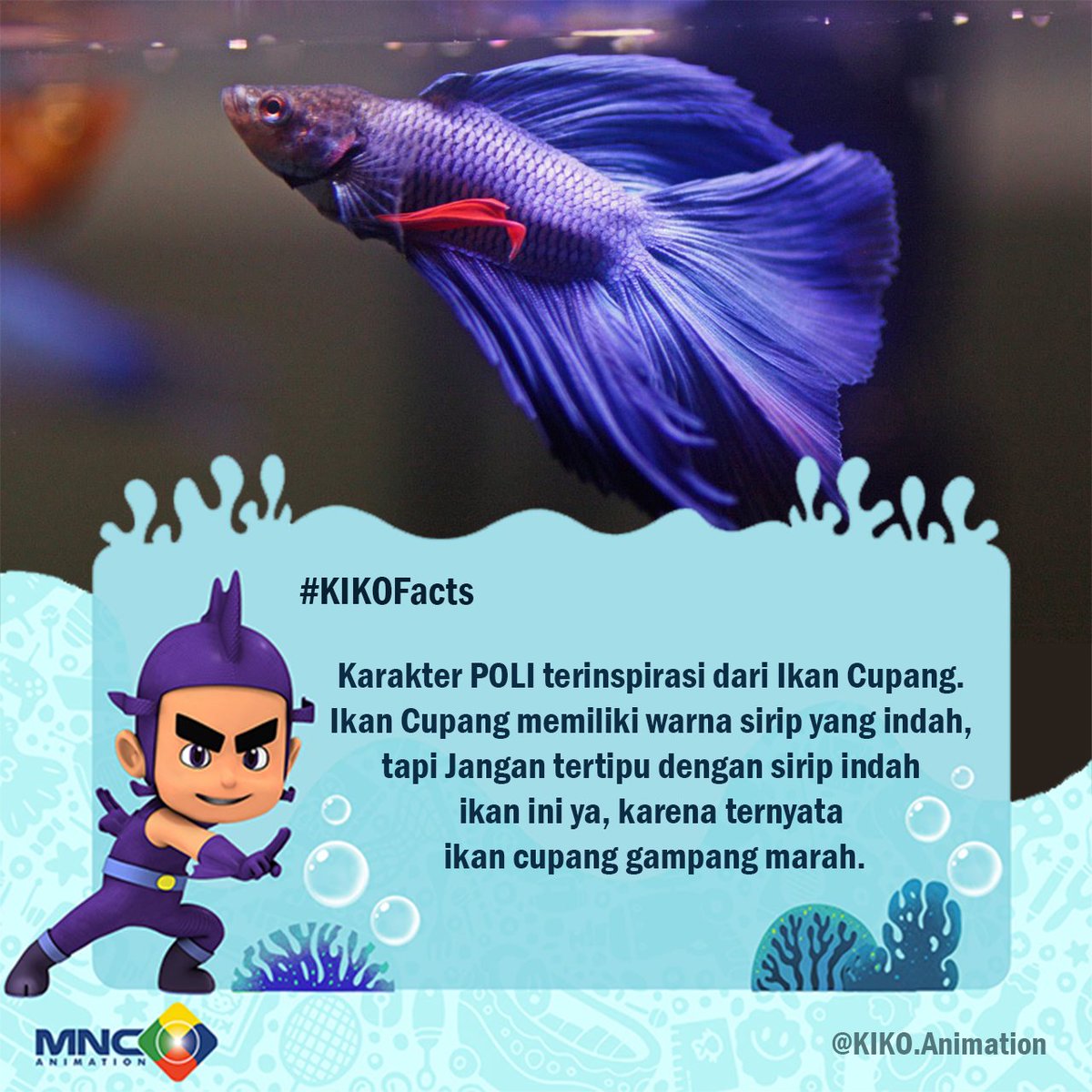  Download  400 Gambar Animasi  Ikan  Cupang  Paling Baru 