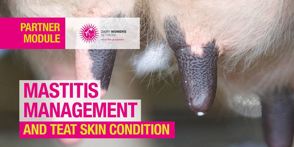 dairy_women's tweet photo. Come to our Rodney event this Wednesday! 
Mastitis management and teat skin condition with @DeosanNZ. 
MORE INFO: https://t.co/YLczdBHMaI https://t.co/EtX7xfMx5T
