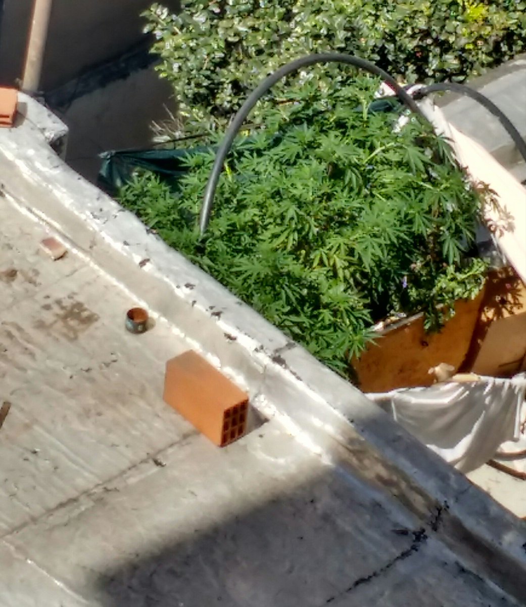 dhf323's tweet photo. #LaNocheDeML  Las terracitas de Buenos Aires tienen ese que se yo... https://t.co/pJyfpo9UN6
