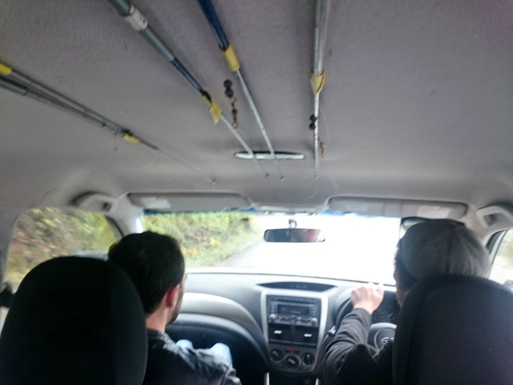 CatMYoung's tweet photo. Road tripping with a herpetologist, always prepared for some #lizardfishing https://t.co/VUfqzCHJqI