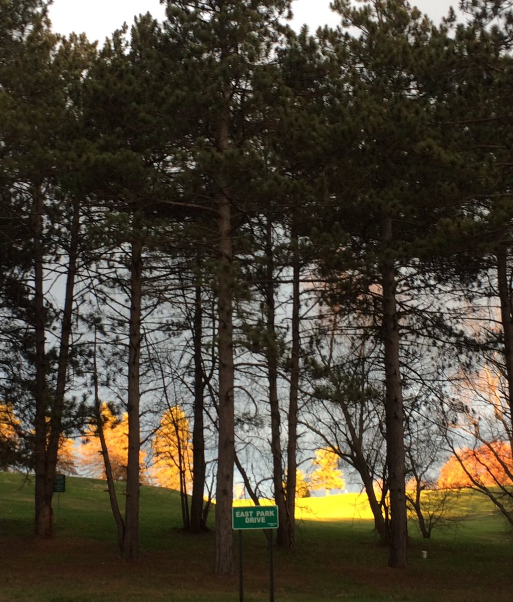 ellelljaytoo's tweet photo. Ohhhh @PittsburghParks how you do glowπΏπππΏ #sunset @vstpgh @boringpgh #ThingsToDo412 ππππΏπ https://t.co/aKCXYRskAJ