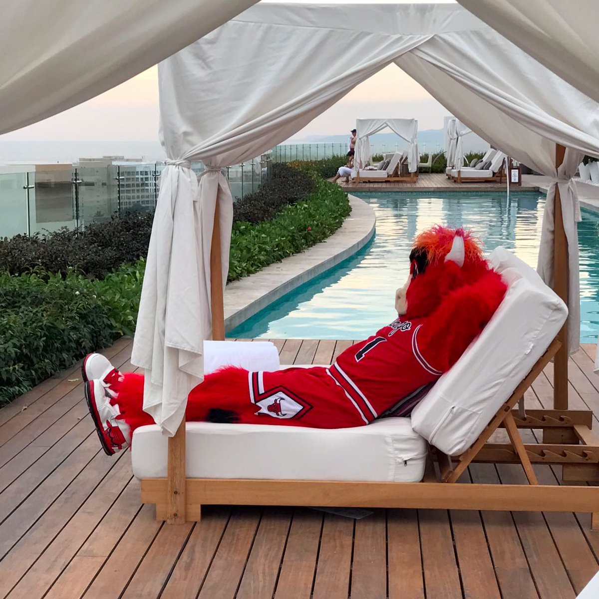 Vidanta's tweet photo. #BennyOnBreak at #Vidanta! We already miss him in Nuevo Vallarta  @chicagobulls https://t.co/spicC0uK6c
