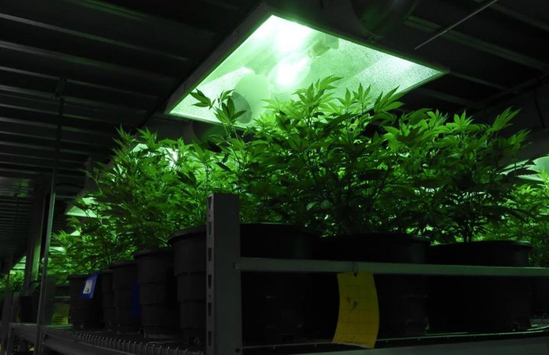 Pot Shops May be Delayed to Mid-2018 #sales #Denver #Colorado #USA #business #industry tinyurl.com/hgmth5t