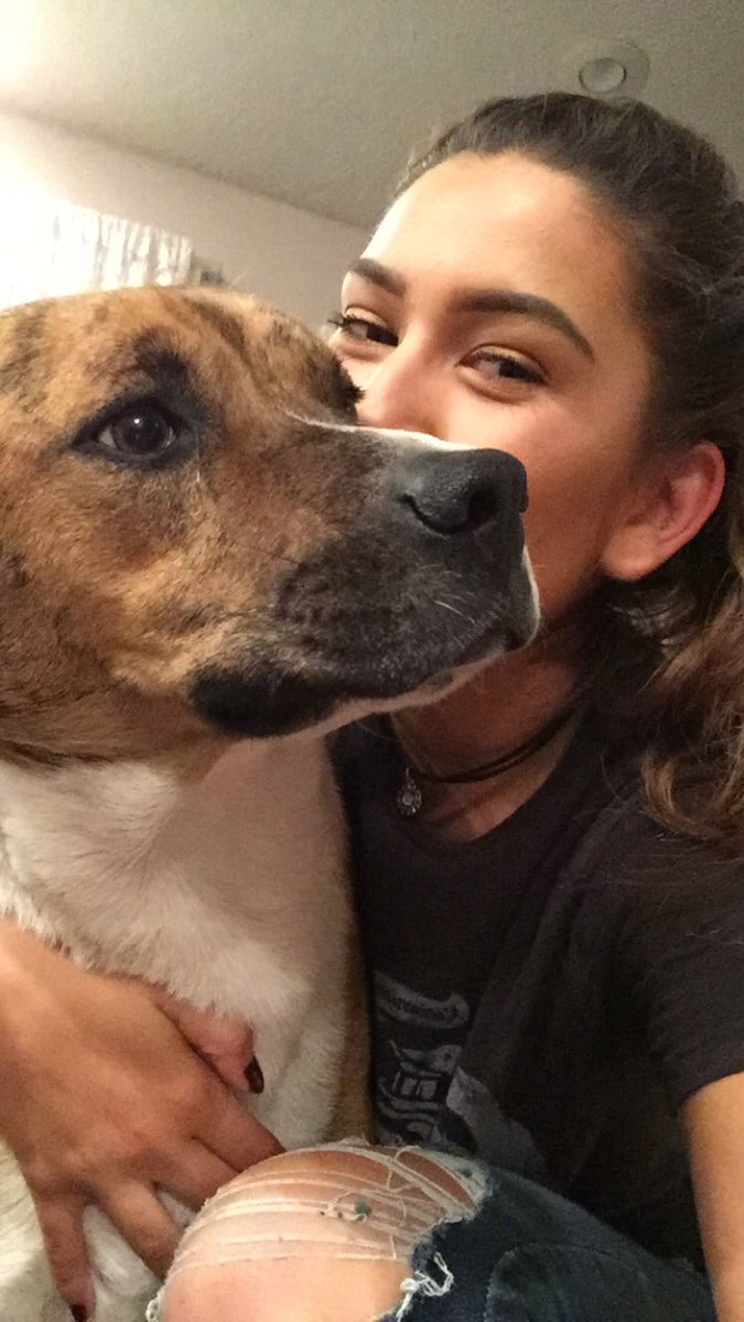 TacoBellChick's tweet photo. someone please hook me up with a job asap I'm trying to keep my dog man he's family he can't be moving out of state #savecalvin https://t.co/9EeQB0yJv9