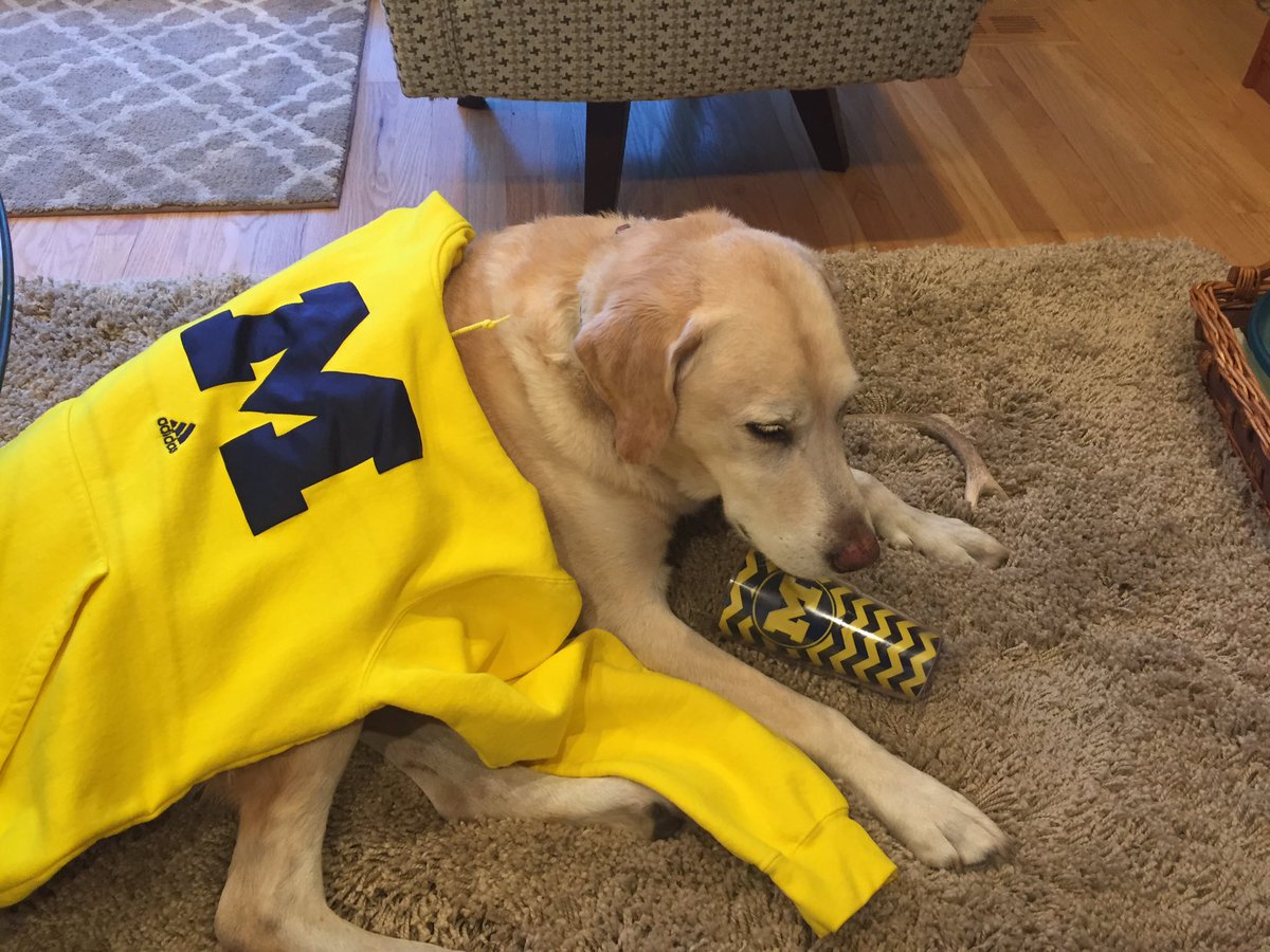 Gibson is so sad that Michigan lost. He's drinking his troubles away! #MICHvsOSU #GoBlue