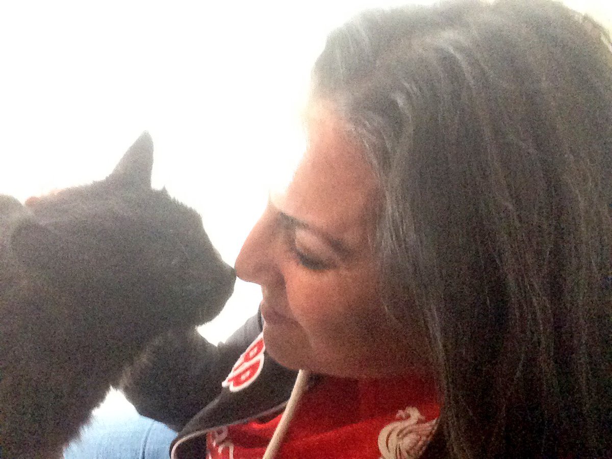 AmyKate8LFC's tweet photo. Someone's happy to see her mama! (Just as happy to see my #furbaby) #kittykisses💋 #LFC #lfcfamily #lfcshirtchallenge #DublinKitty #purelove https://t.co/upyLNh31DB