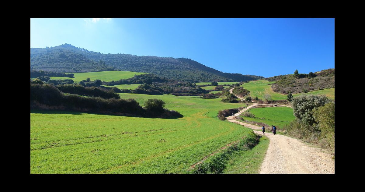 Caminho de Santiago: saiba o que ver no percurso dlvr.it/MlYwrR