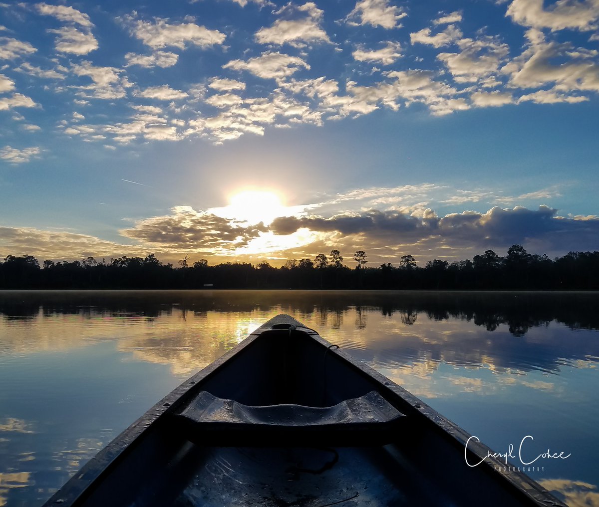 cherylcohee's tweet photo. Here's another reason to #LoveFL in November! @BobVanDillen @WeatherChan #lakejeffords https://t.co/XWu19RrIVU