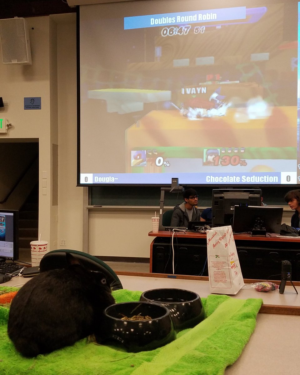 Project M Club @ UCD tweet media