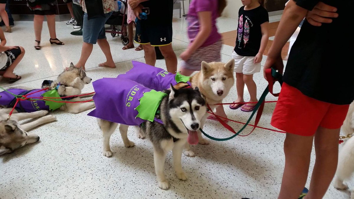SDRQinc's tweet photo. This weekend we were down at Beenleigh shopping center for the Santa parade. Did you see us?! https://t.co/pLnOaQIZju