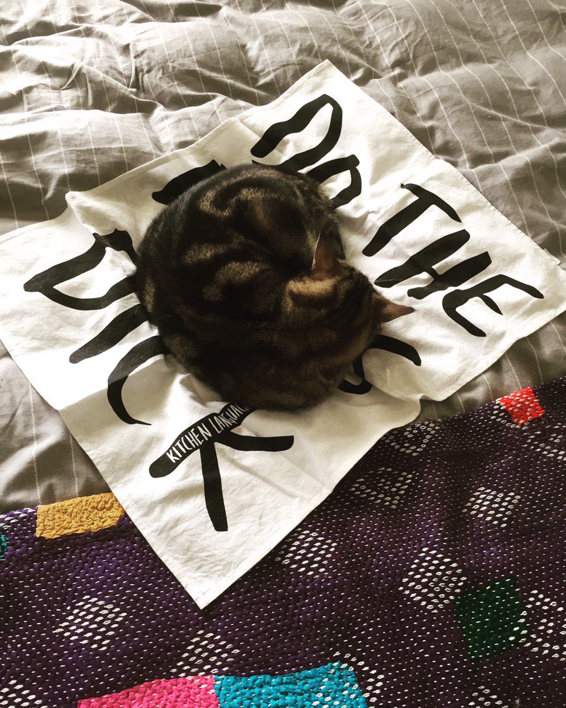 kitchenlang's tweet photo. How good are lazy Sunday mornings? Tea towel is now a cat bed! #kitchenlanguage #cheekyteatowels #swearing #cats https://t.co/vGzuUGqLVU