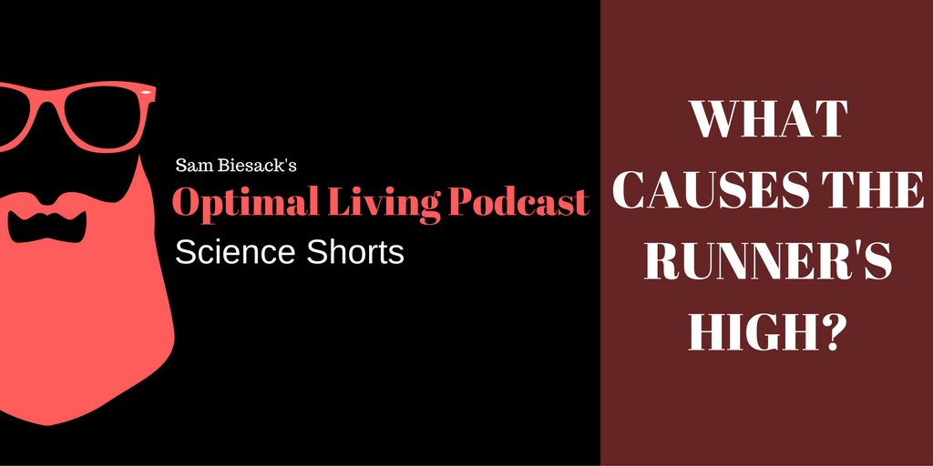 wise_beard's tweet image. Today's Science Short: What causes the runner's high?
apple.co/2gts53c // bit.ly/2fDv73n
#science #exercise #training #run