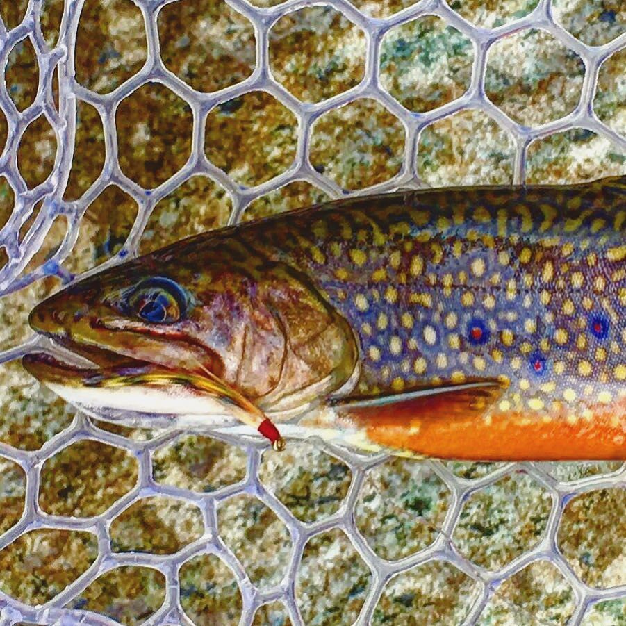 Guide_Hire's tweet image. Saturday night best. 
#SteppinOut | #WeKnowAGuide | #GuideHire ift.tt/2fR6FZW