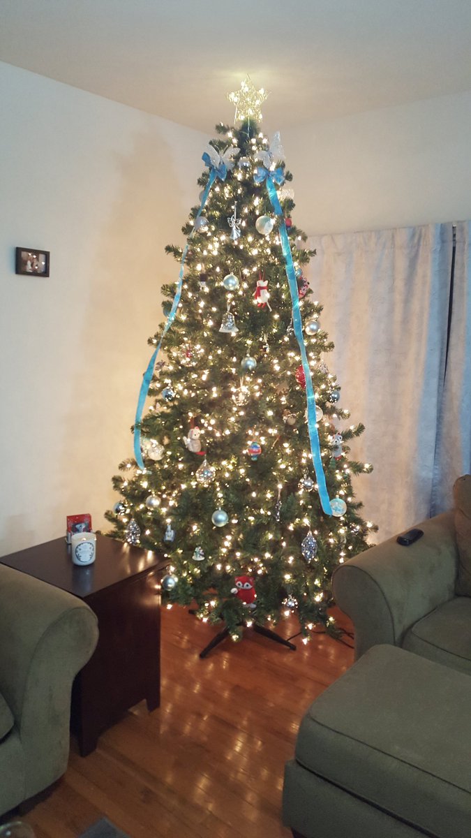 kenbone18's tweet photo. Got the tree up. What do you think? Add another ribbon? Merry Christmas from the bonezone! https://t.co/sJFNObSI9z